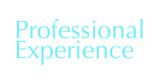 Professional Experience 